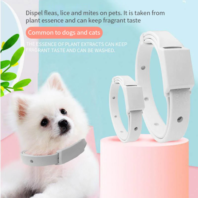 Anti Flea Tick Collar For Cat  - Pet Immune Pir Sensor review and price