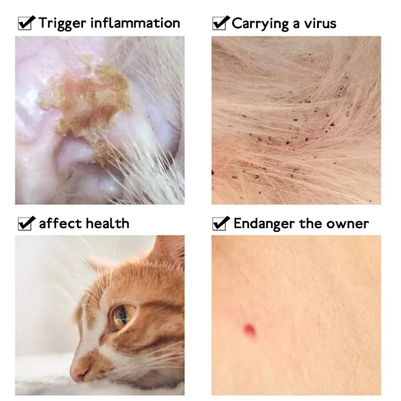 Anti Flea Tick Collar For Cat  - Pet Immune Pir Sensor review and price