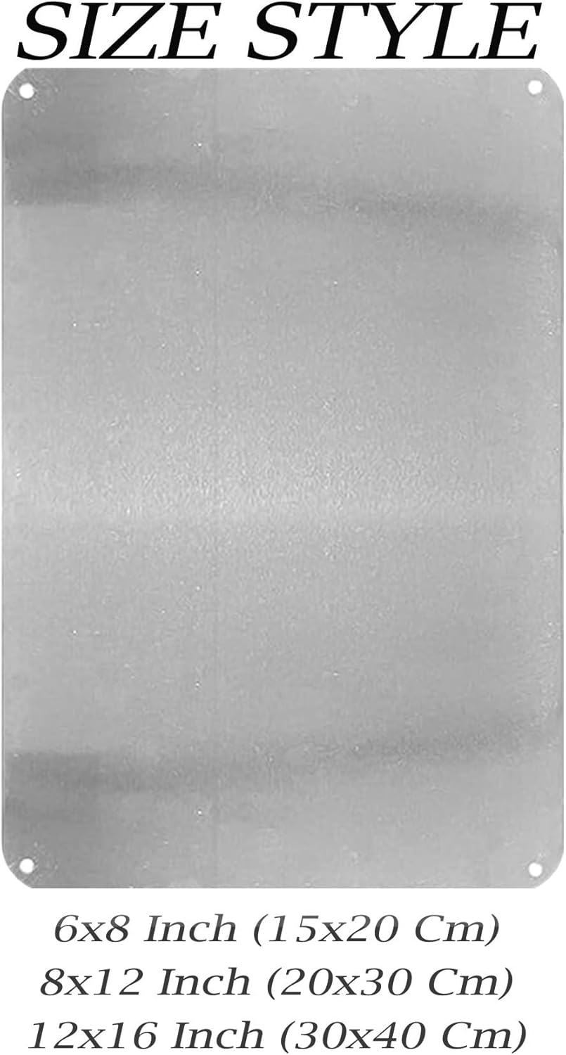 Vintage Iron Security Camera S - Home Security Bars review and price