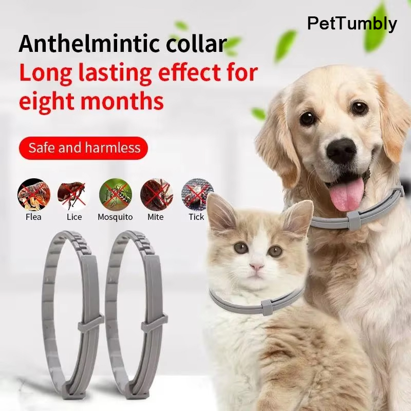 New Releases Dog Collar,Cat An - Pet Immune Pir Sensor review and price