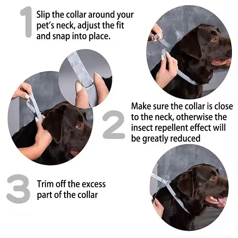New Releases Dog Collar,Cat An - Pet Immune Pir Sensor review and price