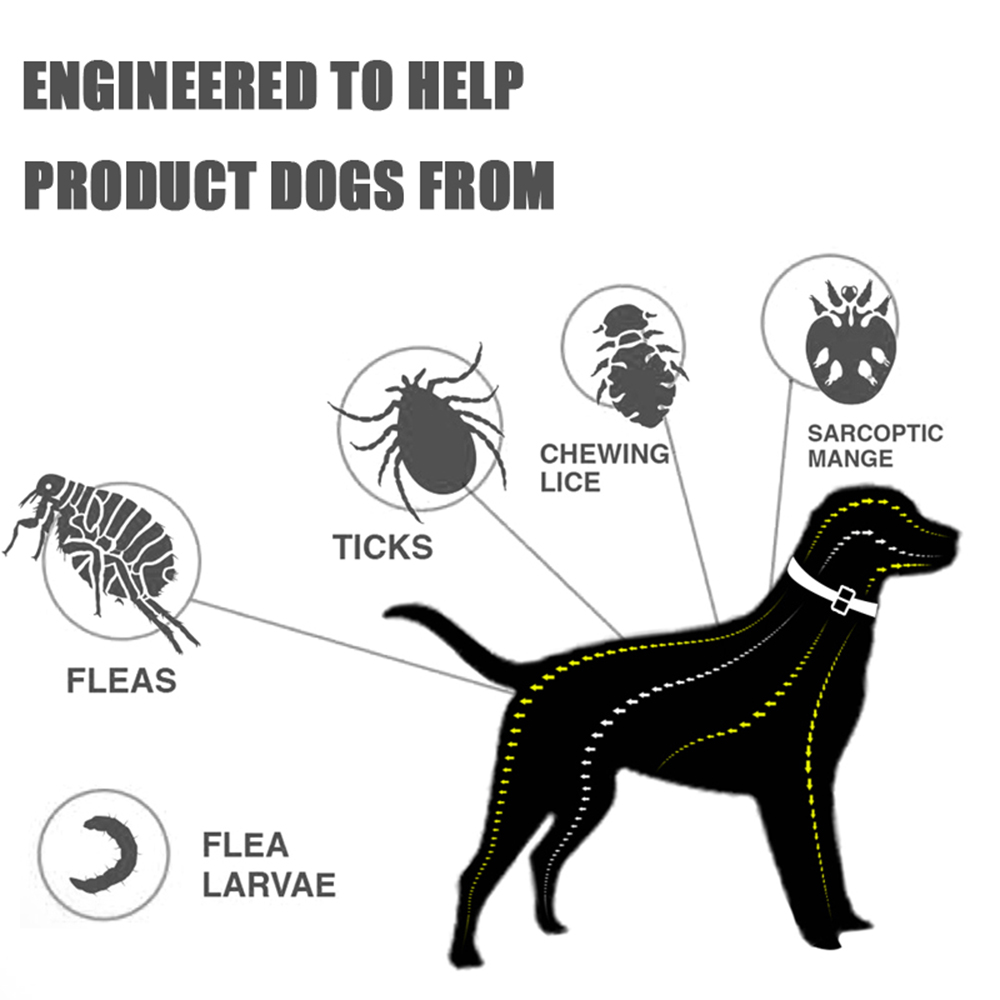 8 Month Protection Flea & Tick - Pet Immune Pir Sensor review and price